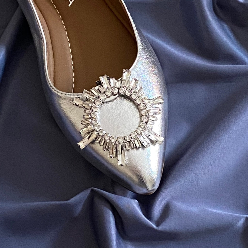 Miami Schuhclips auf silbernem Pumps