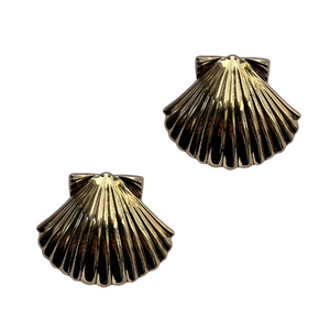 Muschelclips Coral Beach